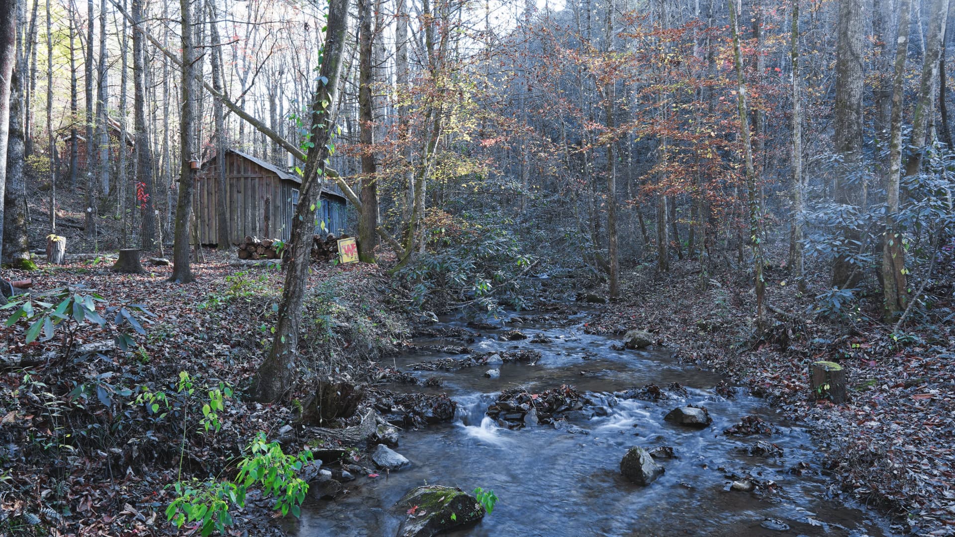 A wooden cabin beside a flowing creek in an autumn forest